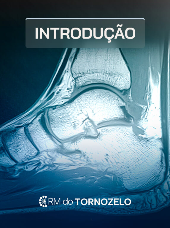 MÓD 1 - INTRODUÇÃO