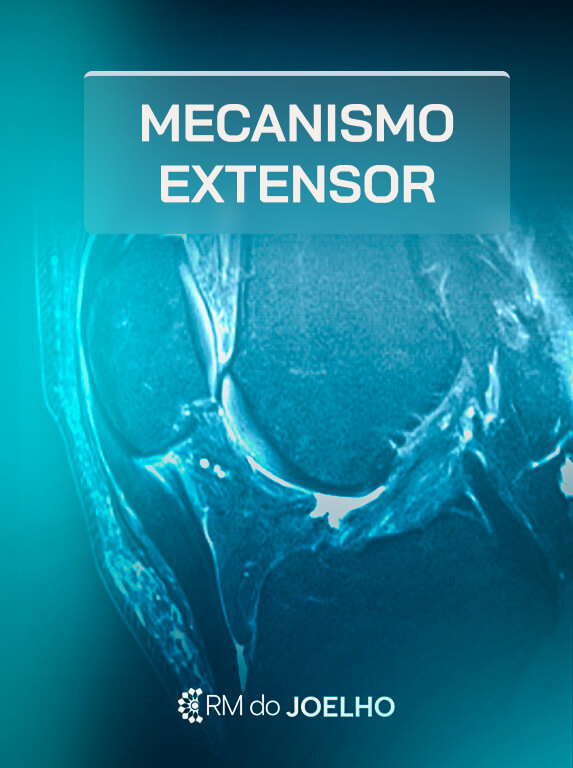 MÓD 10 - MECANISMO EXTENSOR