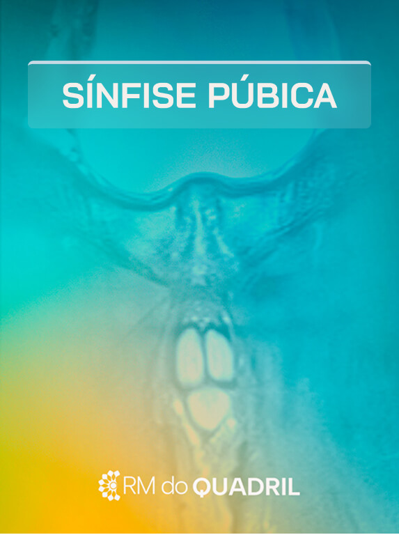 MÓD 6 - SÍNFISE PÚBICA